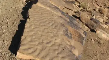 اكتشاف آثار للحياة عمرها 180 مليون سنة بالمغرب | كِشـ24 – جريدة إلكترونية مغربية